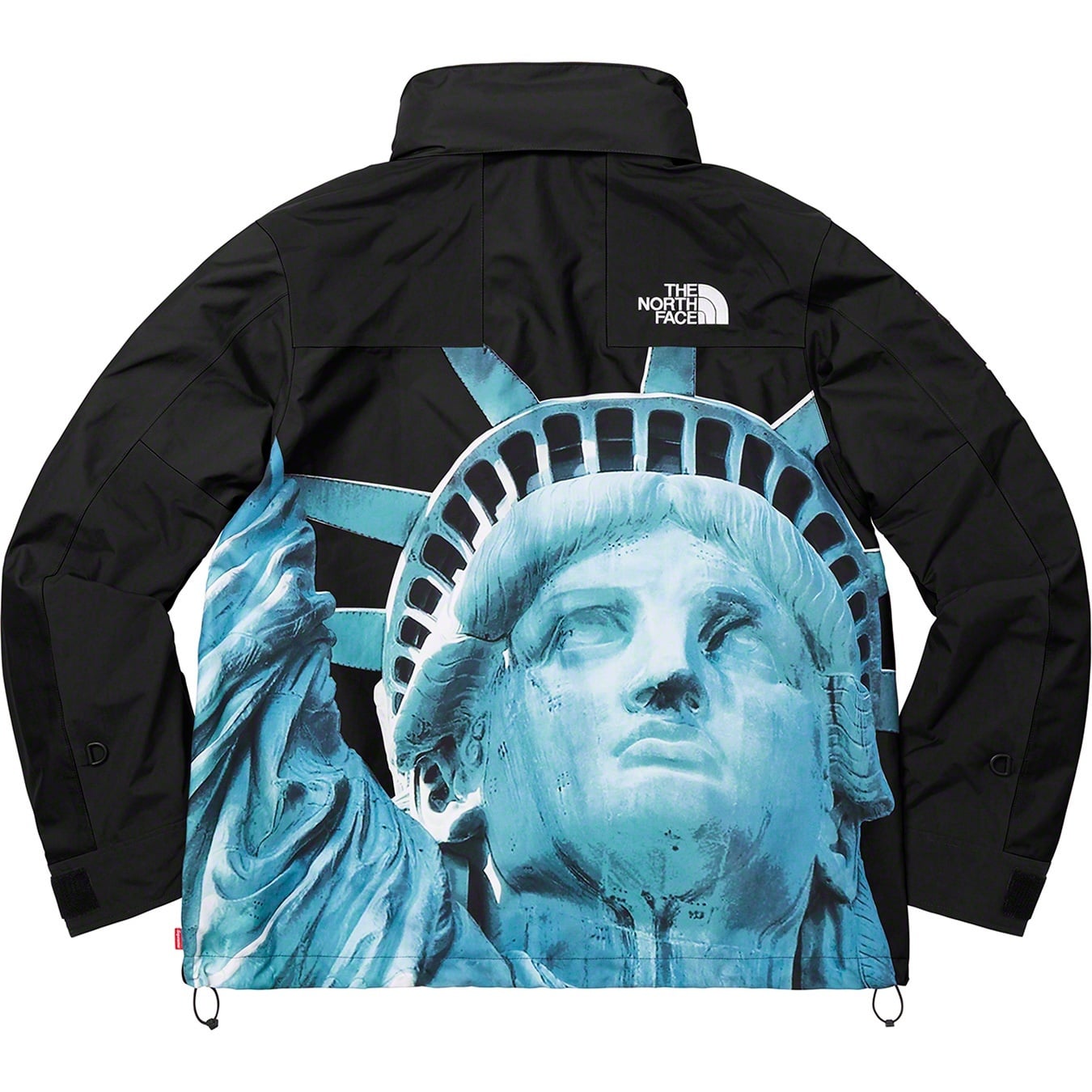 Supreme®/The North Face® Statue of Liberty Mountain Jacket view 11